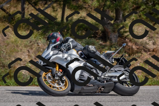 202509071356-DSC_9901_c4_