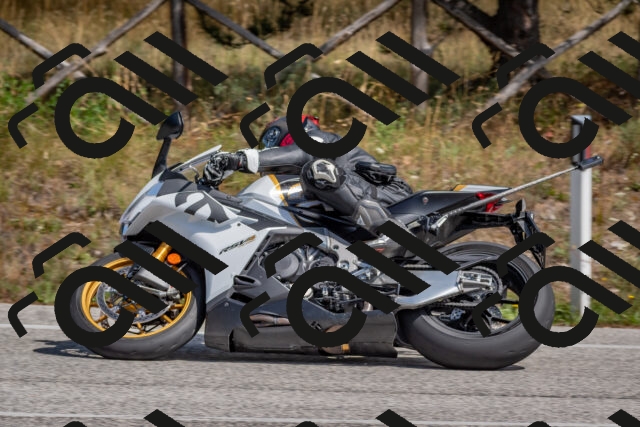 202509071356-DSC_9902_c4_