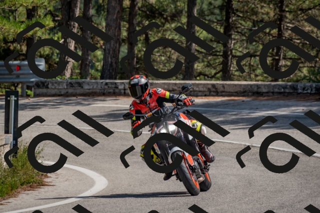 202509071358-DSC_9915_c4_