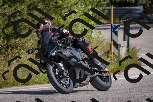 202509071401-DSC_9934_c4_