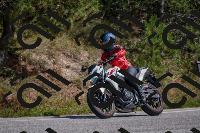 202509071402-DSC_9942_c4_