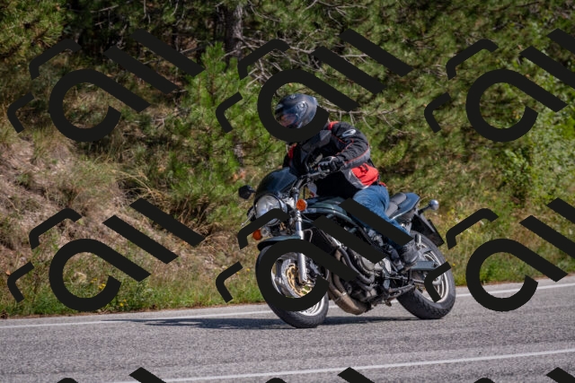 202509071402-DSC_9943_c4_