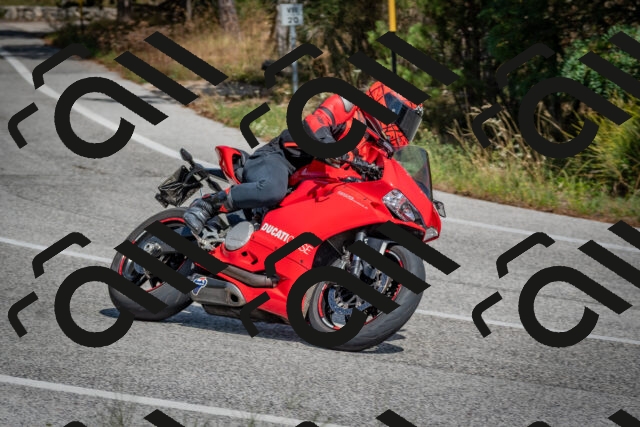 202509071404-DSC_9951_c4_