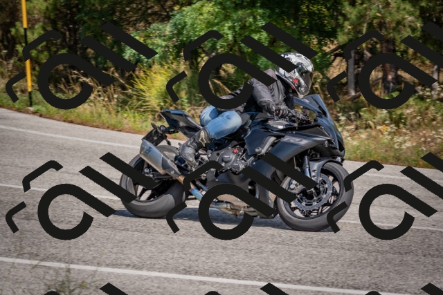 202509071404-DSC_9953_c4_