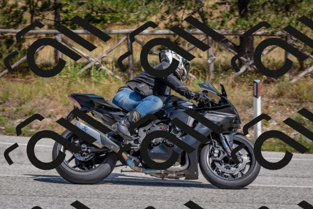 202509071404-DSC_9954_c4_