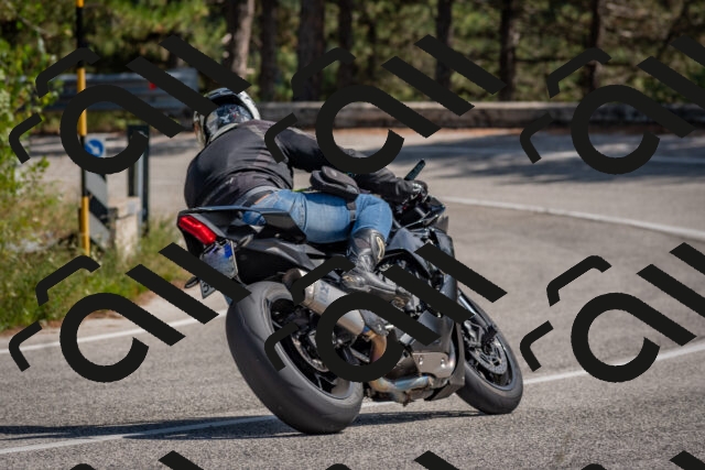 202509071404-DSC_9955_c4_