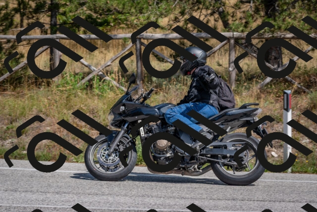 202509071405-DSC_9958_c4_