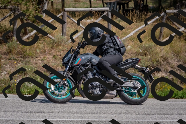 202509071405-DSC_9959_c4_