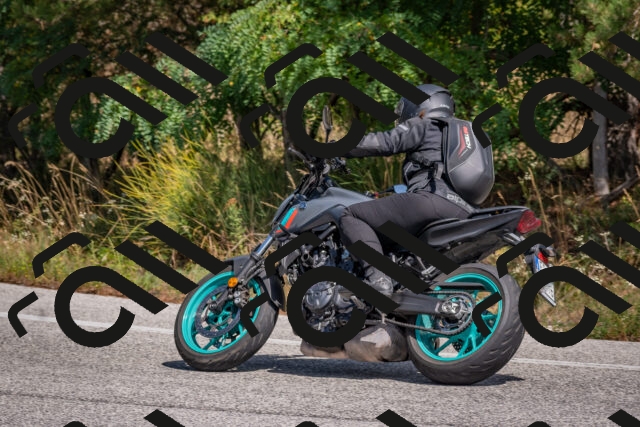 202509071405-DSC_9960_c4_