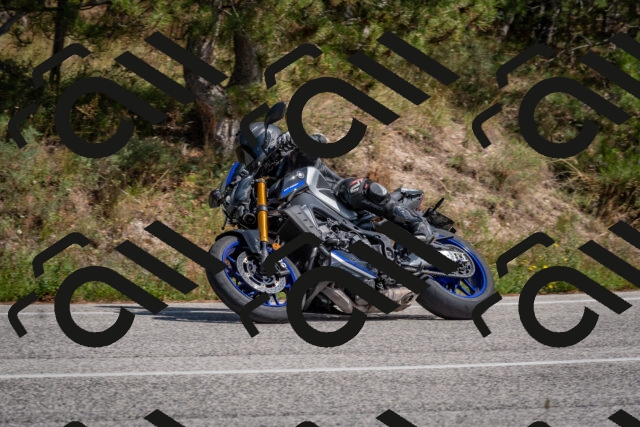 202509071407-DSC_9968_c4_