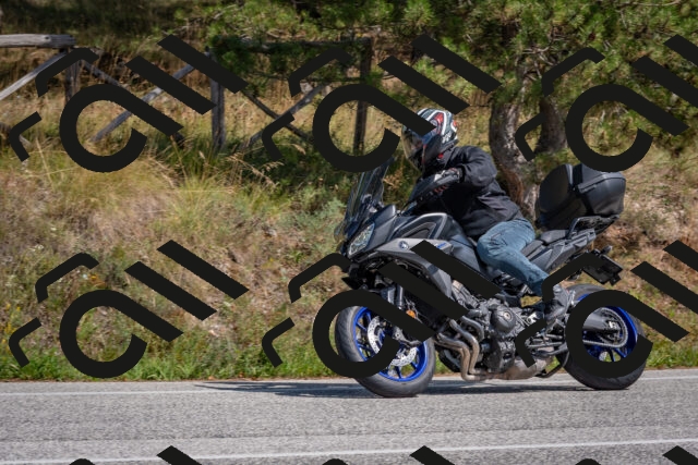 202509071410-DSC_9977_c4_