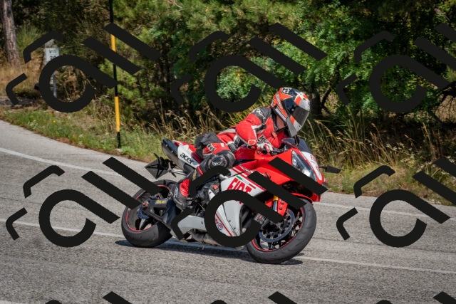 202509071413-DSC_9986_c4_