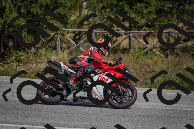 202509071413-DSC_9987_c4_