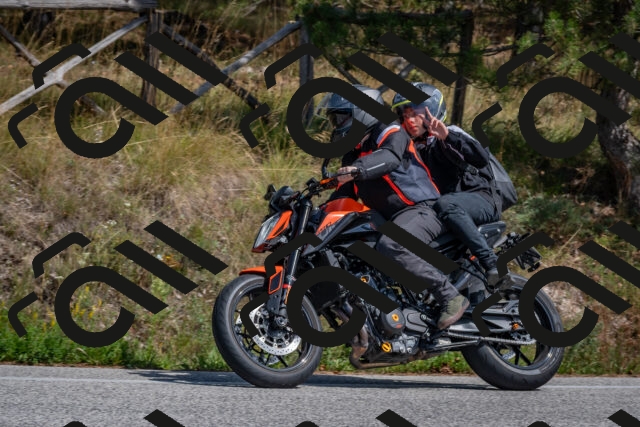 202509071414-DSC_9994_c4_