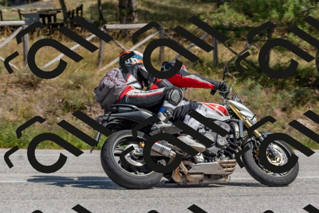 202509071416-DSC_0010_c4_