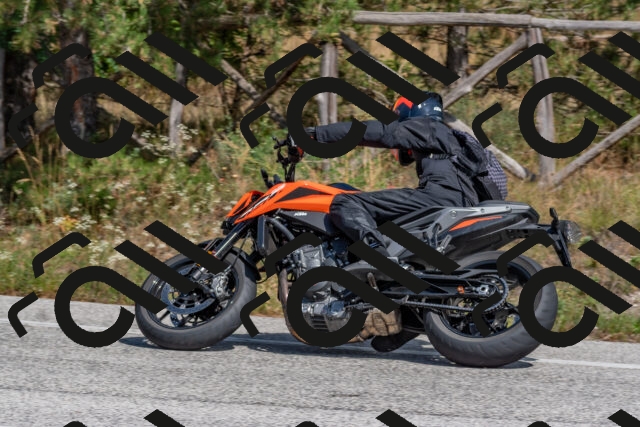 202509071416-DSC_0018_c4_