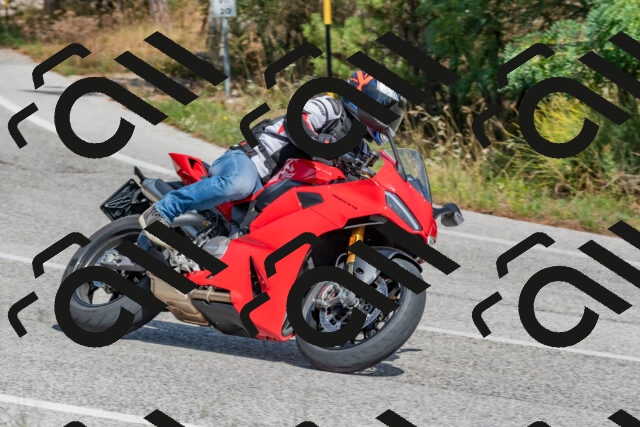 202509071418-DSC_0029_c4_