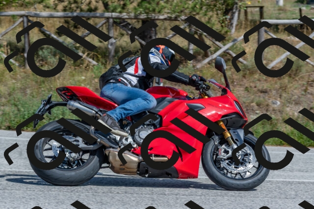 202509071418-DSC_0030_c4_