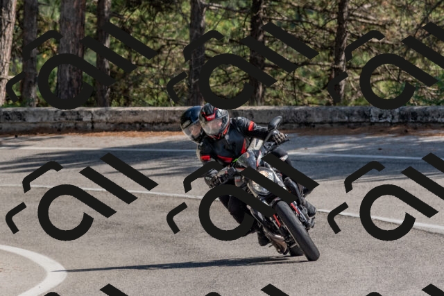 202509071418-DSC_0032_c4_