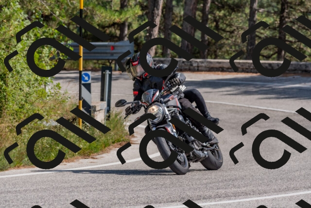 202509071418-DSC_0033_c4_