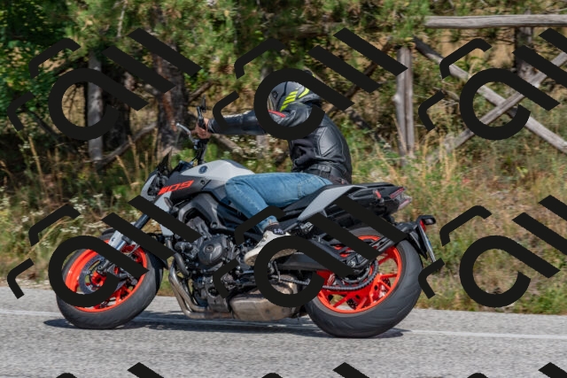 202509071420-DSC_0046_c4_