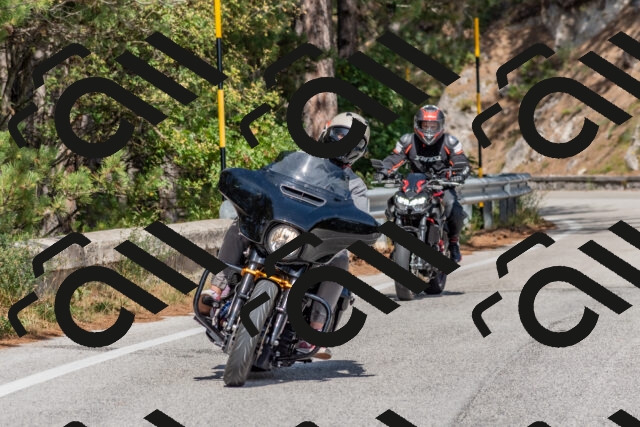 202509071421-DSC_0057_c4_