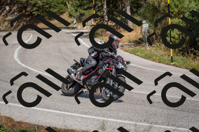 202509071421-DSC_0061_c4_