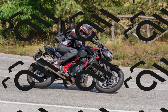 202509071421-DSC_0062_c4_