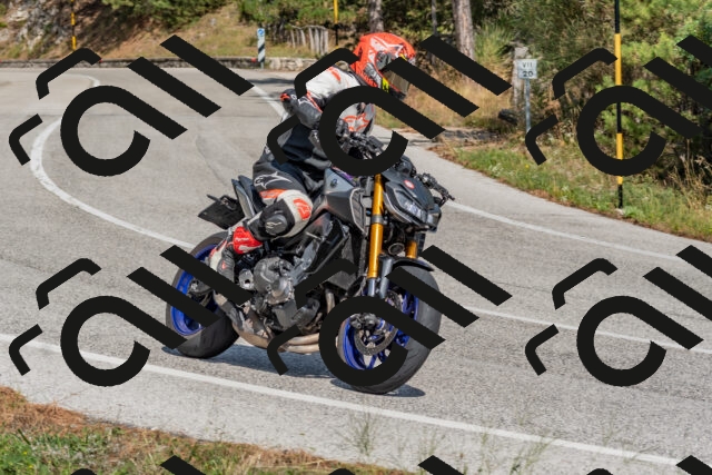 202509071425-DSC_0069_c4_