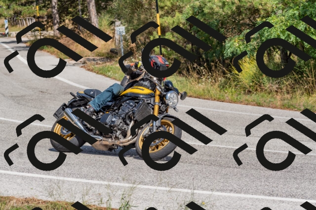 202509071426-DSC_0090_c4_