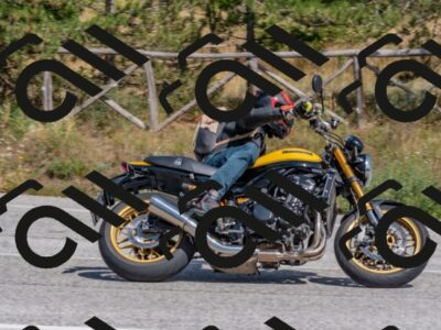 202509071426-DSC_0091_c4_