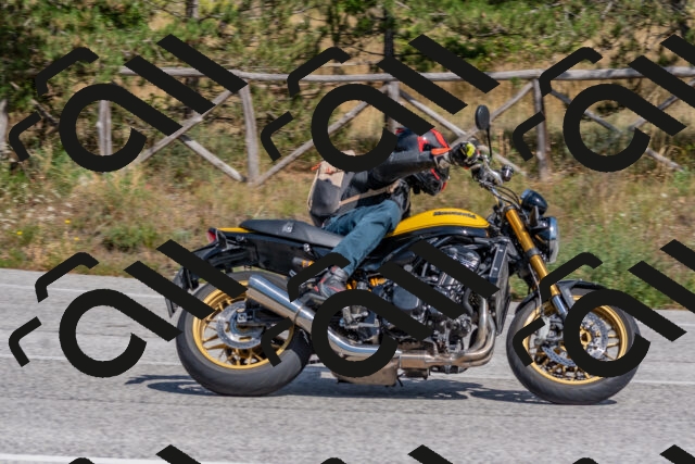 202509071426-DSC_0091_c4_