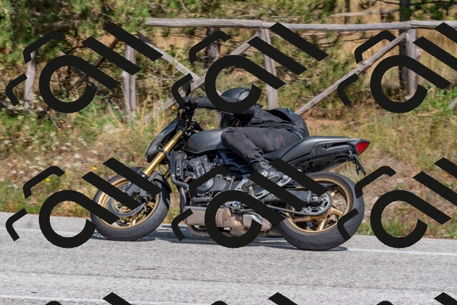 202509071426-DSC_0104_c4_