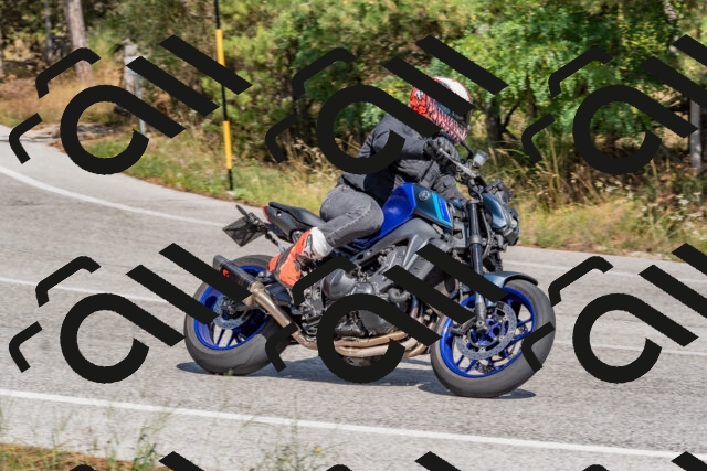 202509071428-DSC_0137_c4_