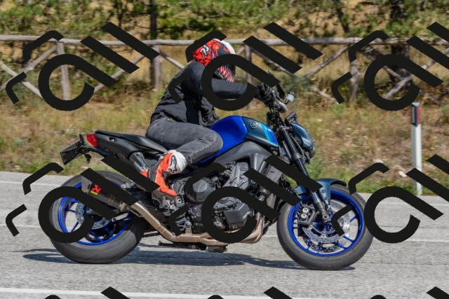 202509071428-DSC_0138_c4_