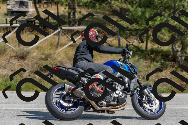 202509071428-DSC_0139_c4_