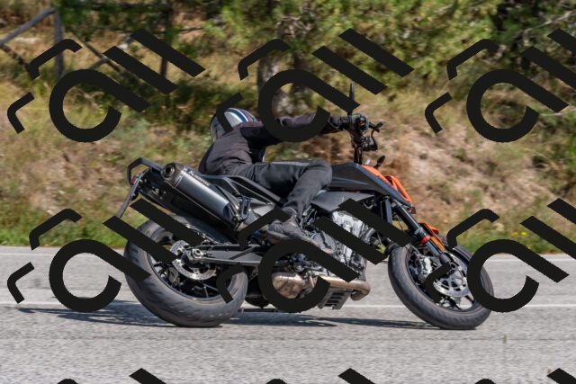 202509071430-DSC_0142_c4_