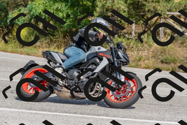 202509071431-DSC_0150_c4_