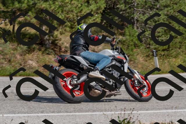 202509071431-DSC_0151_c4_