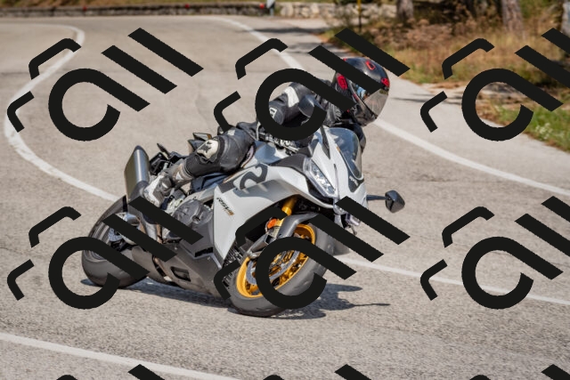 202509071432-DSC_0152_c4_