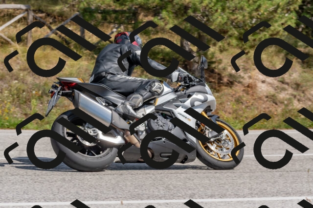 202509071432-DSC_0154_c4_