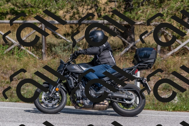 202509071434-DSC_0159_c4_