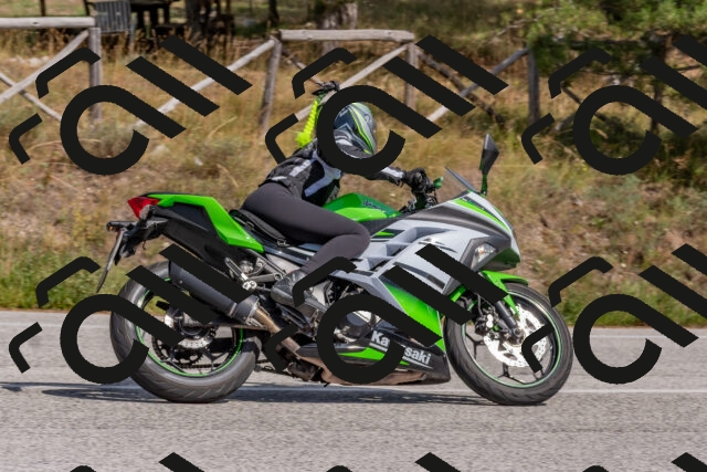 202509071438-DSC_0173_c4_