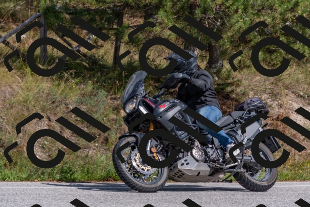 202509071439-DSC_0174_c4_