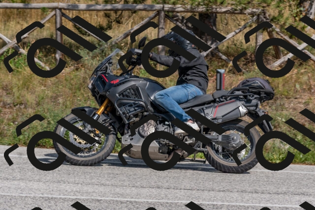 202509071439-DSC_0175_c4_