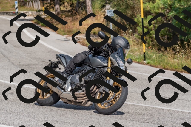 202509071440-DSC_0182_c4_