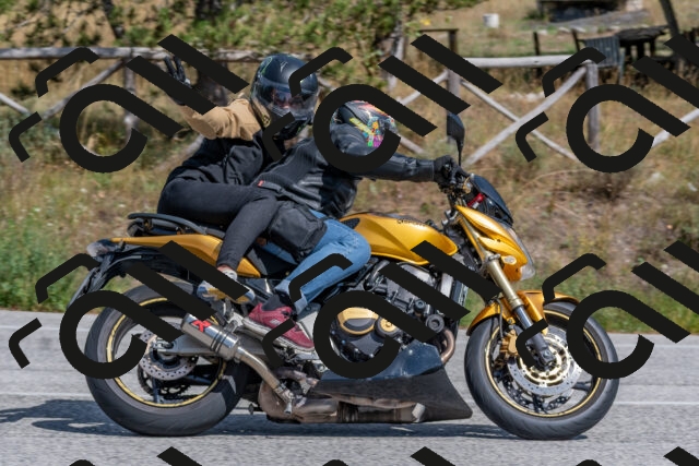 202509071440-DSC_0185_c4_