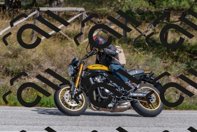 202509071441-DSC_0186_c4_