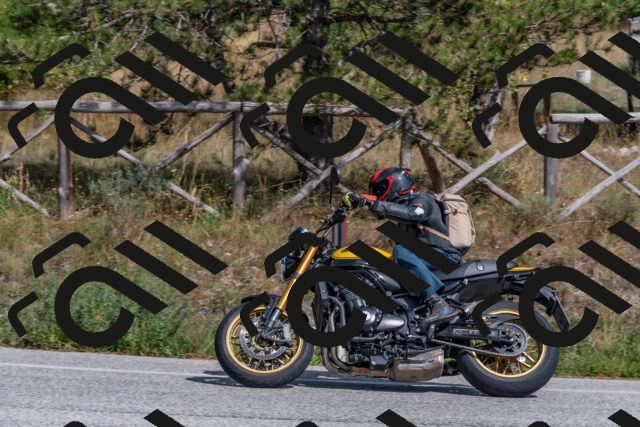 202509071441-DSC_0187_c4_