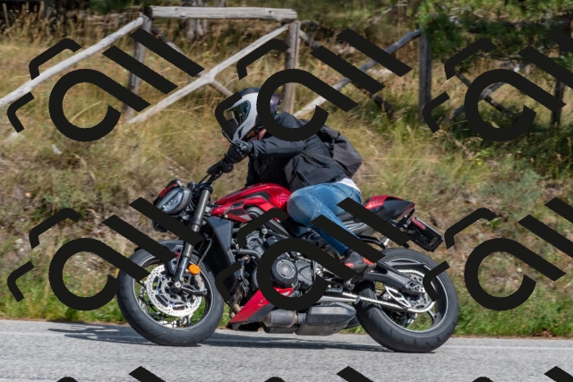 202509071441-DSC_0191_c4_